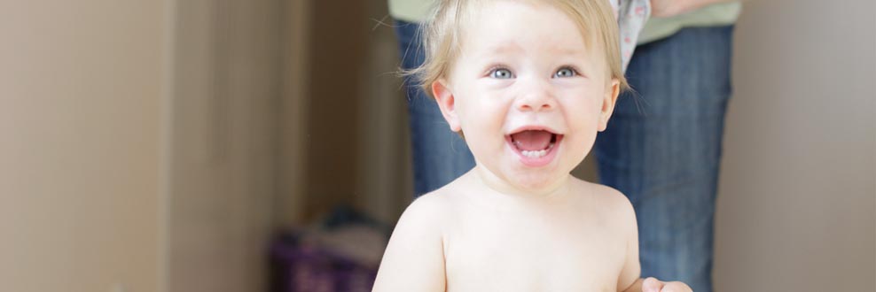 Winnie the Pooh Winnie the Pooh