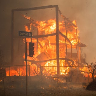 How the Sunset Tower Became “Noah’s Ark” for Wildfire Refugees